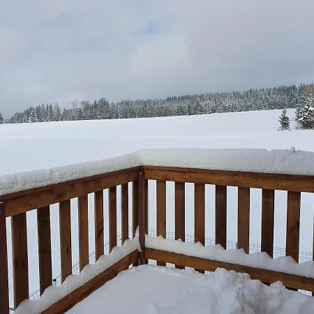 Dom wakacyjny Misiówka *