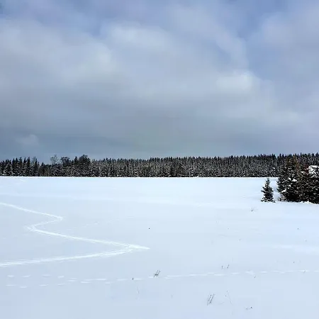 Дом отдыха Misiowka *