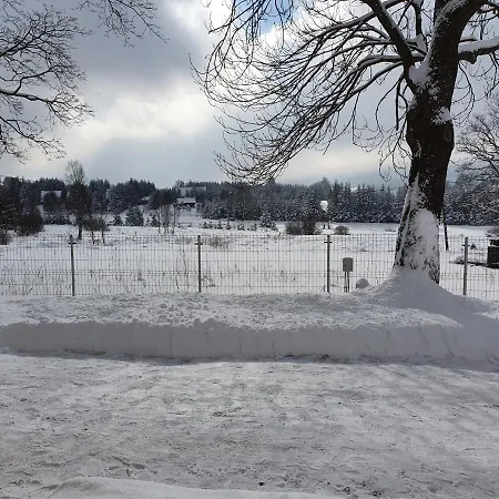 Дом отдыха Misiowka *