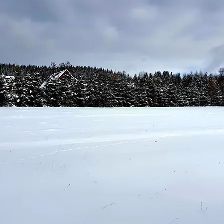 Misiowka *