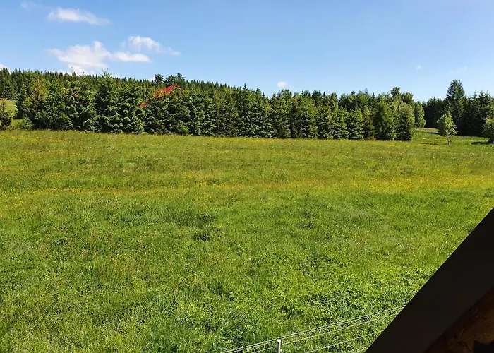 Misiowka * Duszniki Zdrój