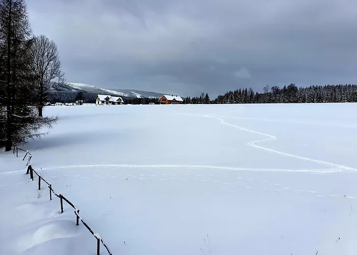 Misiowka בית נופש דוז'ניקי ז'דרוז'