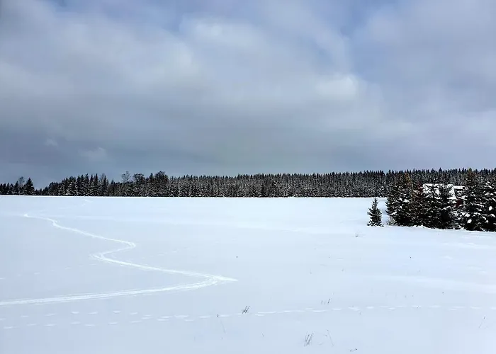 Vakantiehuis Misiowka *